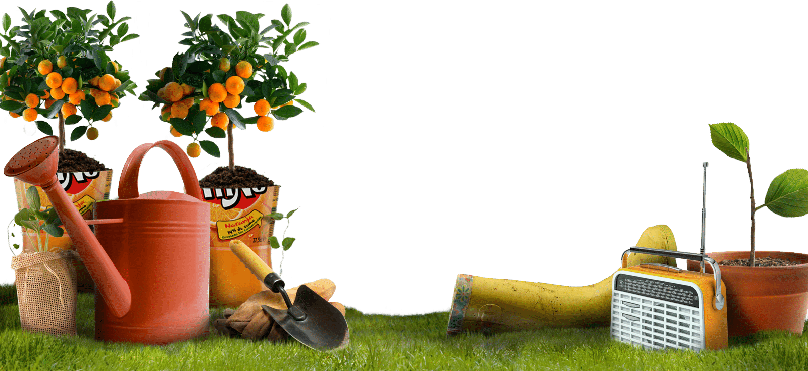 Cultivar frutas y hortalizas en macetas paso a paso