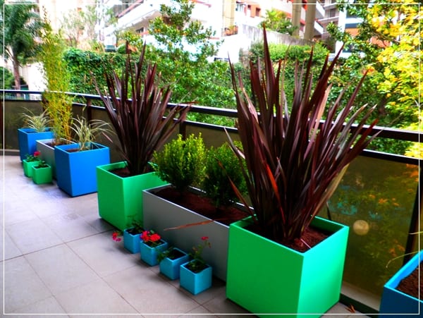 Plantas en macetas sobre el suelo de una terraza soleada