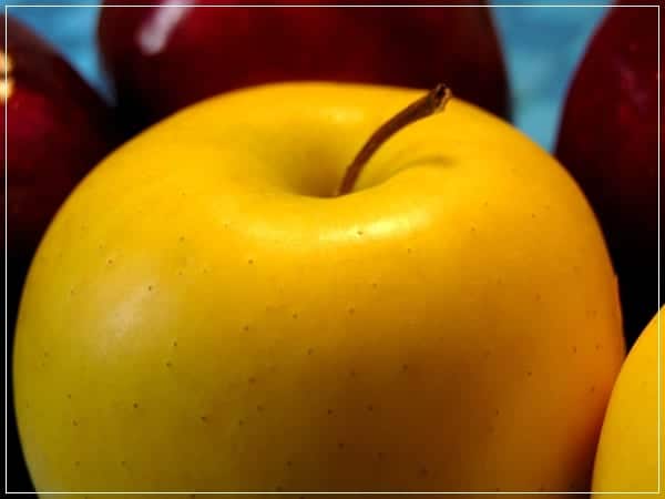 Manzanas recolectadas listas para almacenar