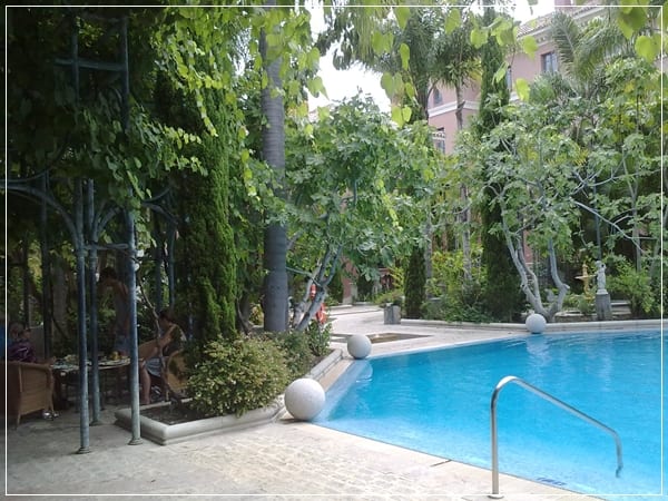 Piscina naturalizada: cómo se diseña y se mantiene