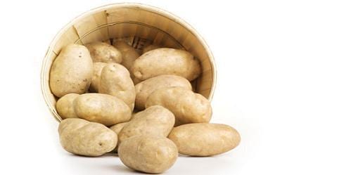 Cultivar patatas en maceta paso a paso