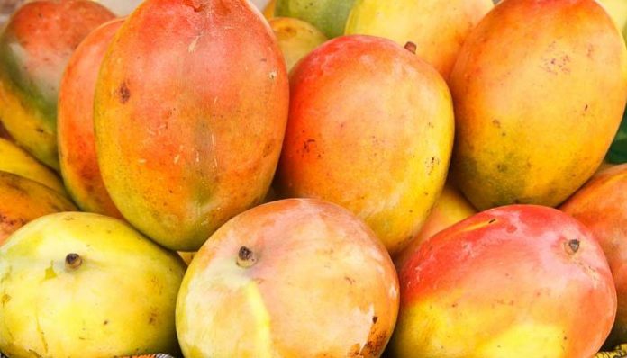 Montón de mangos maduros de piel amarilla y roja en un puesto de mercado