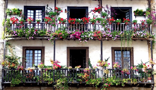 Macetas con plantas en el balcón de una vivienda