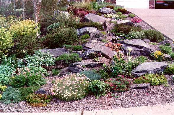 Rocalla en artesa y en muro: plantas para poco espacio