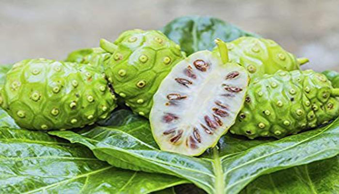Frutos de noni enteros y uno cortado por la mitad mostrando la pulpa y las semillas