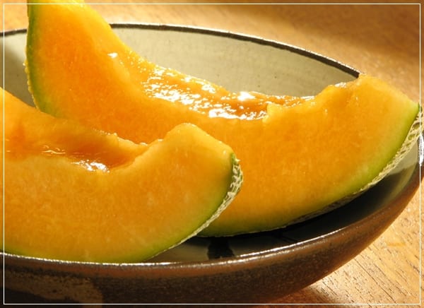 Melón tipo galia en la planta