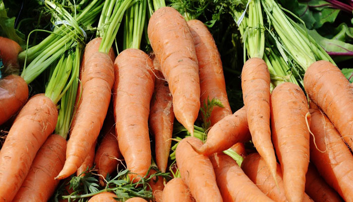 Zanahorias recién arrancadas con sus hojas, apiladas