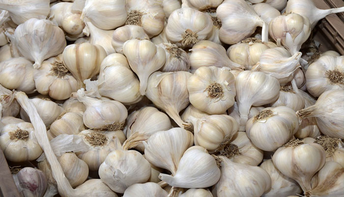 Cabezas de ajo blanco amontonadas