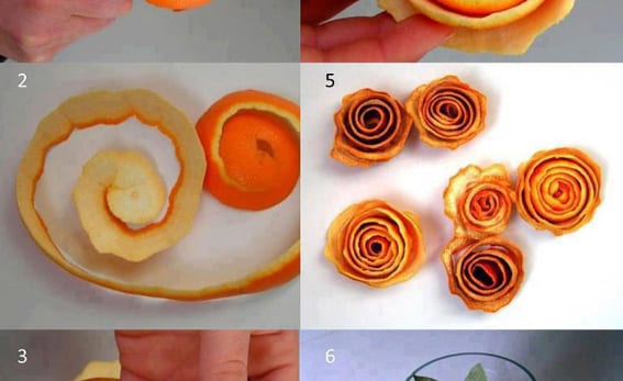 Rosas de piel de naranja: color, aroma y duración