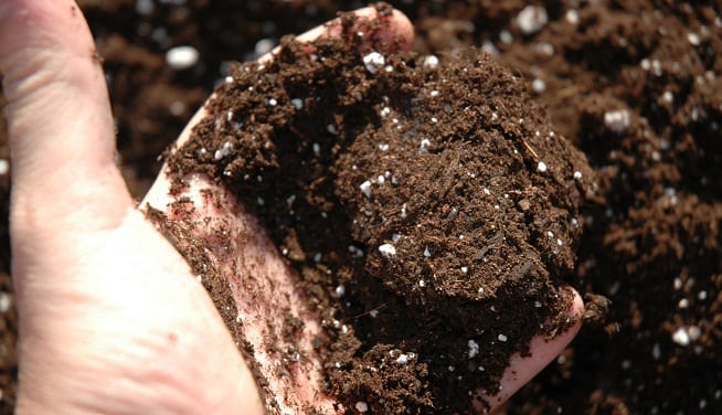 Mezcla de sustrato y materia orgánica preparada para un cultivo