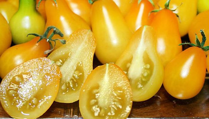 Tomates pera amarilla partidos, con la pulpa y las semillas a la vista