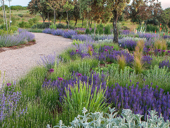 Jardines: color y belleza a prueba de calor y sequía (1ª parte)