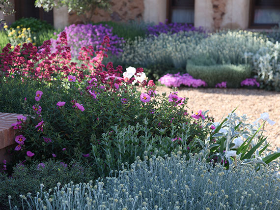 Jardines: color y belleza a prueba de calor y sequía (2ª parte)