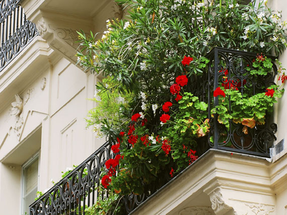 Pon tus balcones a punto de primavera (1ª parte)