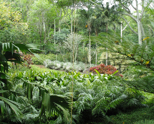 Sítio Roberto Burle Marx: mensajes desde el paraíso