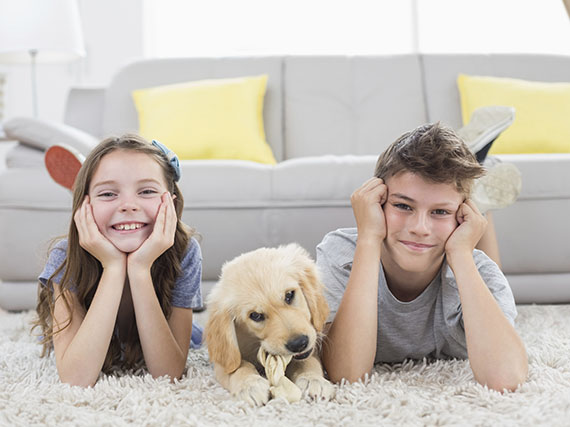 Cómo preparar la llegada de un cachorro