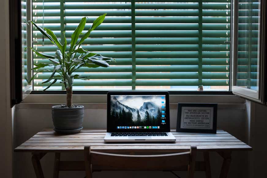 Plantas para oficina