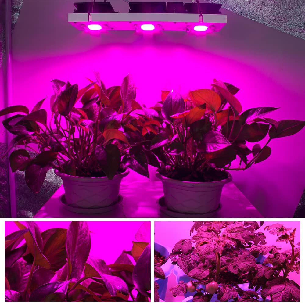 Luces para cultivo en interiores