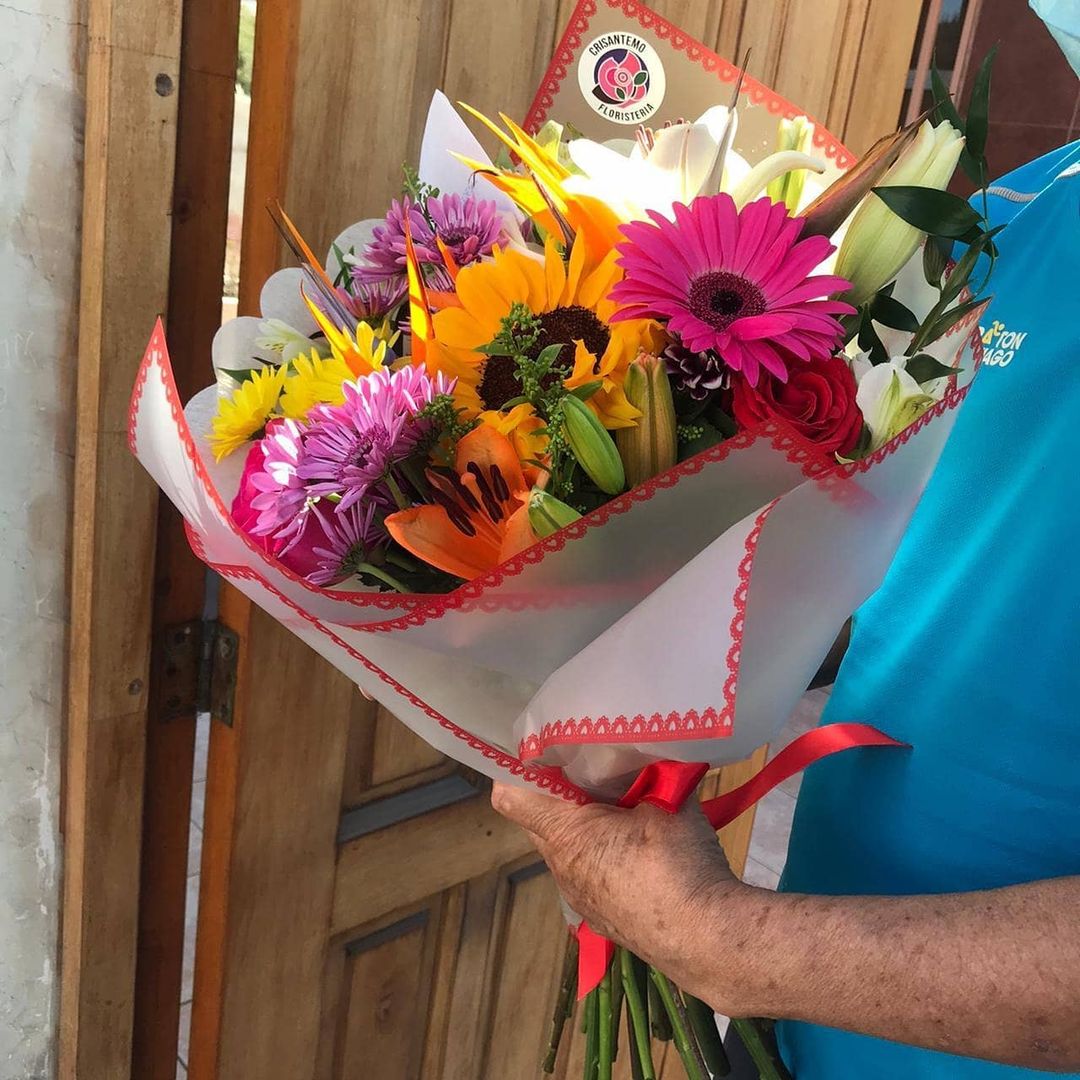 Plantas o flores debes regalar en un cumpleaños a un ser querido