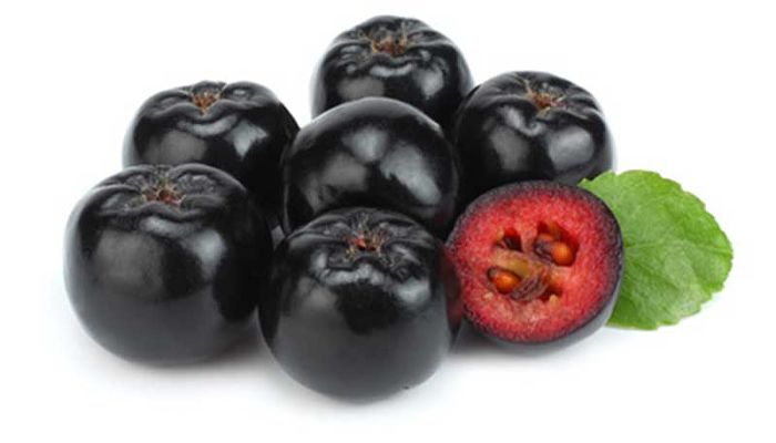 Aronia. Origen, Descripción, Cultivo, Cuidados, Propiedades