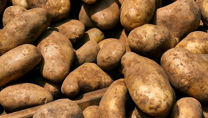 12 Beneficios Y Propiedades De La Batata