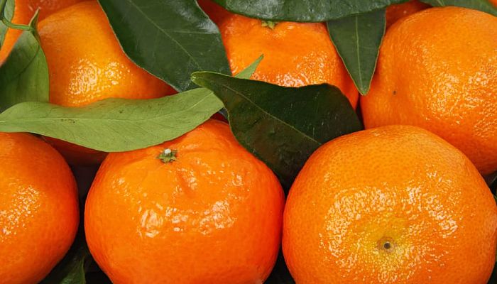 12 Beneficios Y Propiedades De La Mandarina Clementina