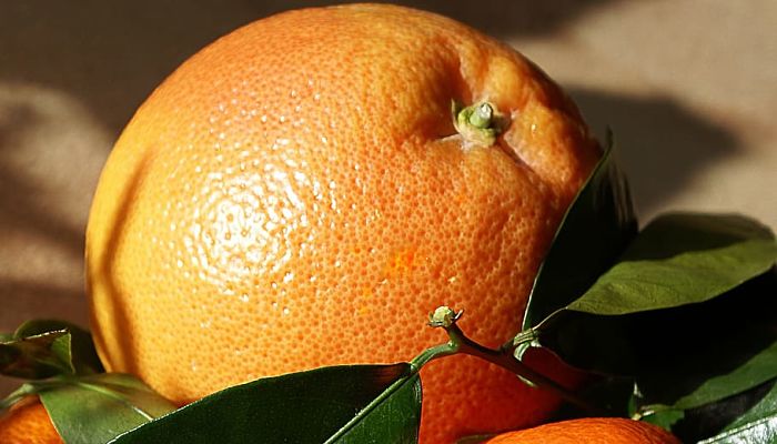 13 Beneficios Y Propiedades De La Naranja