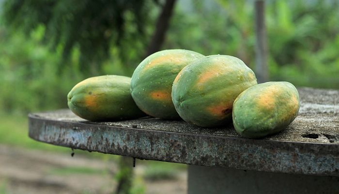 8 Beneficios Y Propiedades De La Papaya De Montaña