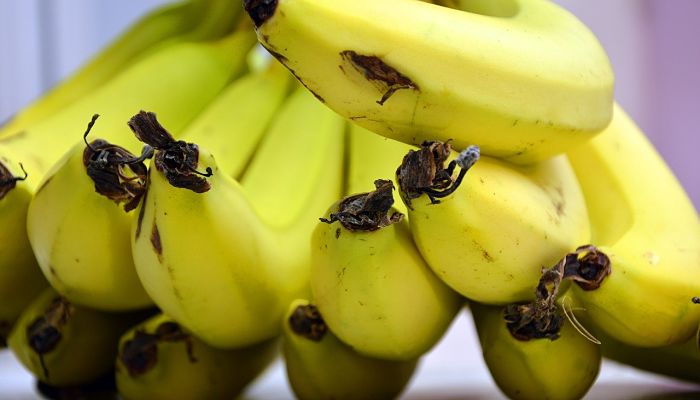 10 Beneficios Y Propiedades De Las Bananas