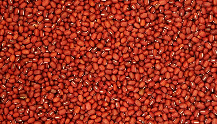 13 Beneficios Y Propiedades de los Frijoles