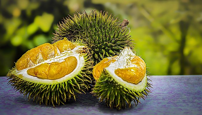 15 Beneficios Y Propiedades Del Durian