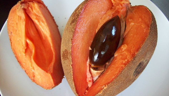 12 Beneficios Y Propiedades Del Mamey Zapote