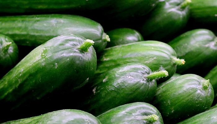 10 Beneficios Y Propiedades Del Pepino