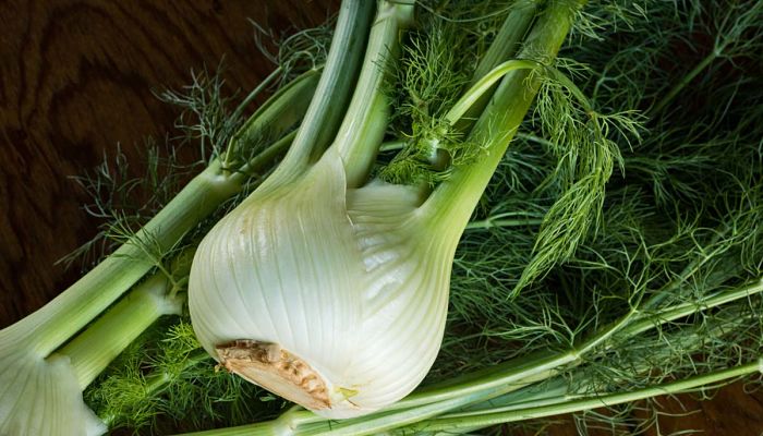 Fennel. Origen, Descripción, Cultivo, Cuidados, Propiedades