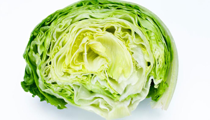 Lechuga iceberg (Lactuca sativa). Origen, Descripción, Variedades, Cultivo Y Usos