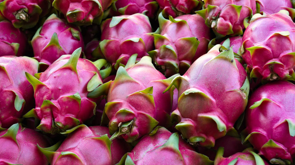 Pitahaya