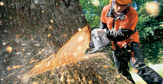 Ropa para trabajos forestales