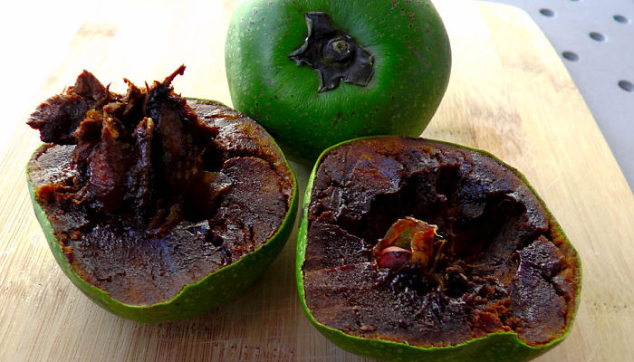 Zapote Negro. Origen, Descripción,Cultivo, Cuidados, Propiedades